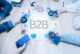 2018年美國B2B電商市場報告 食品加工通用設備行業深度解析